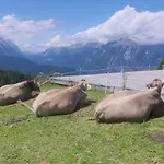 Alpartement Seefeld شقة *