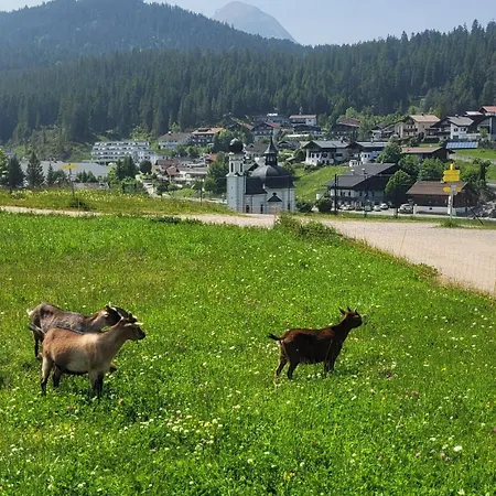 شقة Alpartement Seefeld *