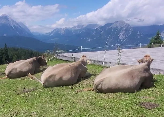 Alpartement Seefeld Apartment *